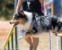 20160618-cckc-1210