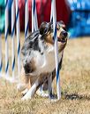 20160618-cckc-1218