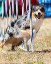20160618-cckc-1219