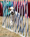 20160618-cckc-1227
