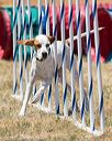 20160618-cckc-1228