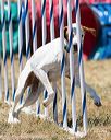 20160618-cckc-1231