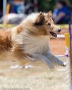 20160618-cckc-1263