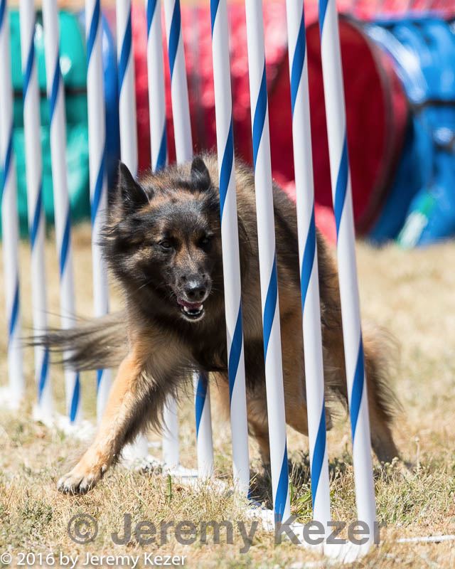 20160618-cckc-1075.jpg