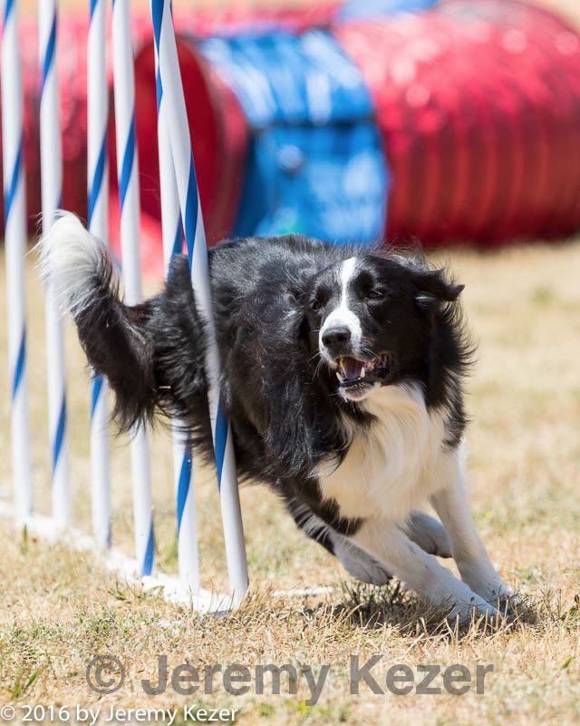 20160618-cckc-1037.jpg