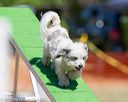 20160618-cckc-0569