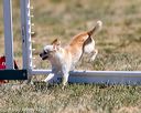 20160618-cckc-0574
