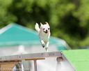 20160618-cckc-0581