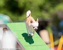 20160618-cckc-0586