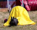20160618-cckc-0591