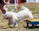 20160618-cckc-0609