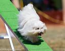20160618-cckc-0613