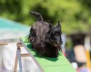 20160618-cckc-0628
