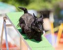 20160618-cckc-0631