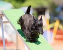 20160618-cckc-0632