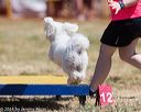 20160618-cckc-0455