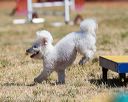 20160618-cckc-0457
