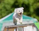 20160618-cckc-0460