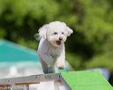 20160618-cckc-0461
