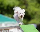 20160618-cckc-0462