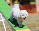 20160618-cckc-0463