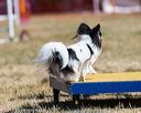 20160618-cckc-0468