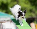 20160618-cckc-0472