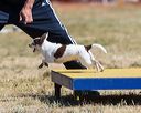 20160618-cckc-0481