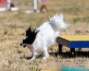 20160618-cckc-0491