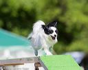 20160618-cckc-0493