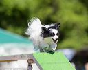 20160618-cckc-0494