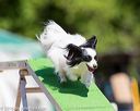 20160618-cckc-0496