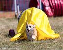 20160618-cckc-0497