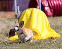 20160618-cckc-0499
