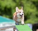 20160618-cckc-0506