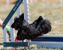 20160618-cckc-0512