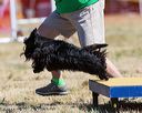 20160618-cckc-0513