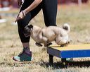 20160618-cckc-0529