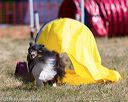 20160618-cckc-0533