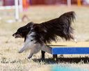 20160618-cckc-0537