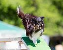 20160618-cckc-0543