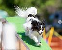 20160618-cckc-0552