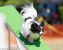 20160618-cckc-0553