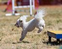 20160618-cckc-0562