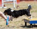 20160618-cckc-0331
