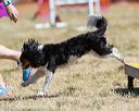 20160618-cckc-0332