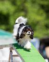 20160618-cckc-0341