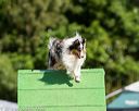20160618-cckc-0344