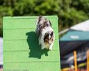 20160618-cckc-0349