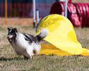 20160618-cckc-0354